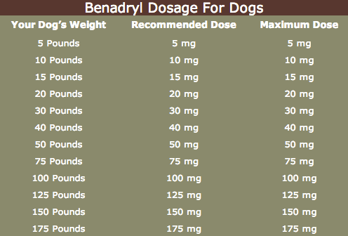 Benadryl dosage for dogs